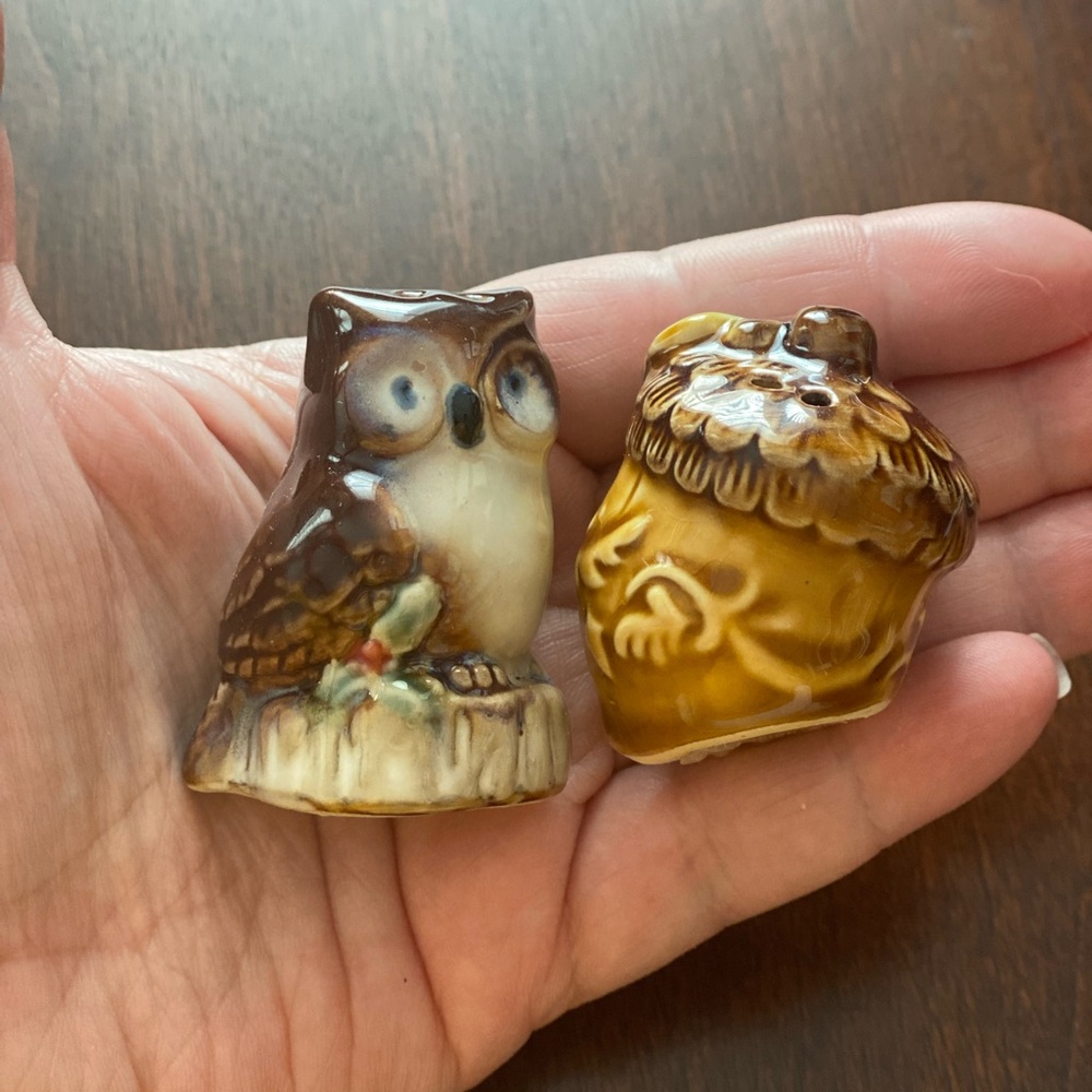 Vintage Owl and Acorn Ceramic Salt and Pepper Shakers in Great Condition